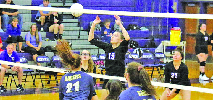 Norwich claws back at Sabers